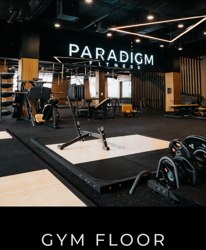 WhatsApp Image 2025-12-23 at 11.58.32 (4)